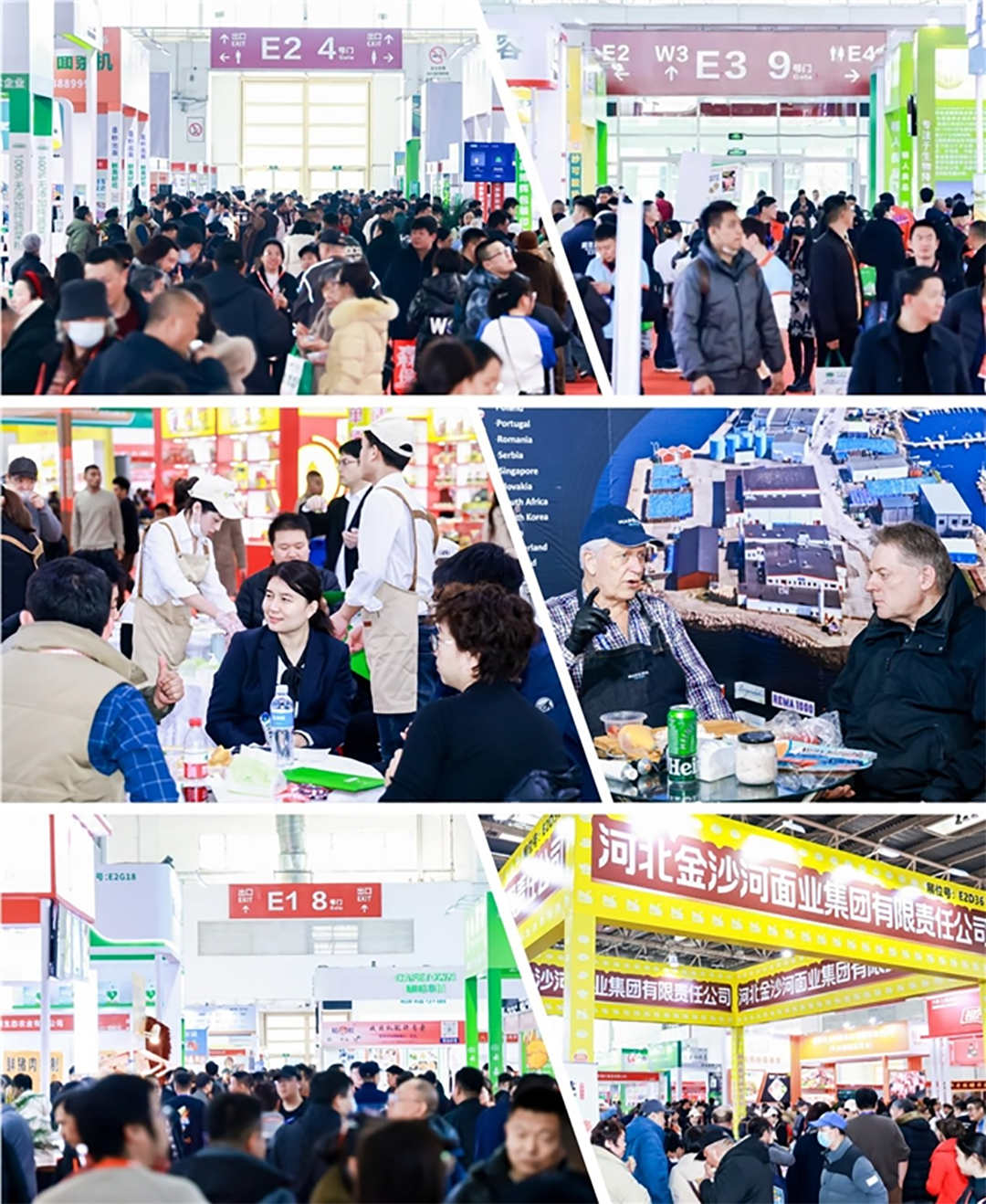 DM_20250605151058_002 拷贝.png